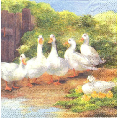 ПТИЦ-33513 33*33