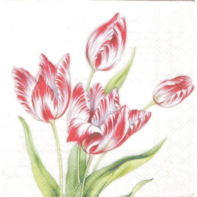 ЦВЕТвес-33580 33*33