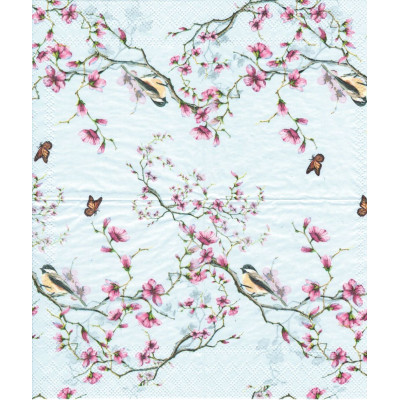 ПТИЦ-33620 25*25