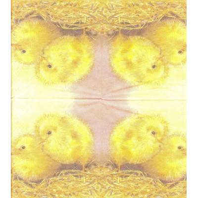 ПТИЦ-33621 25*25