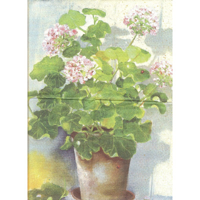ЦВЕТразн-33784 33*33