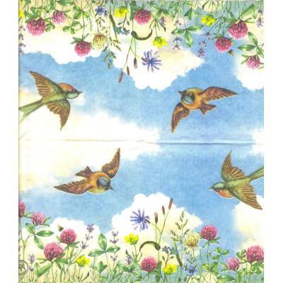 ПТИЦ-33802 25*25