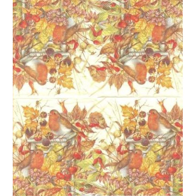 ПТИЦ-34246 25*25
