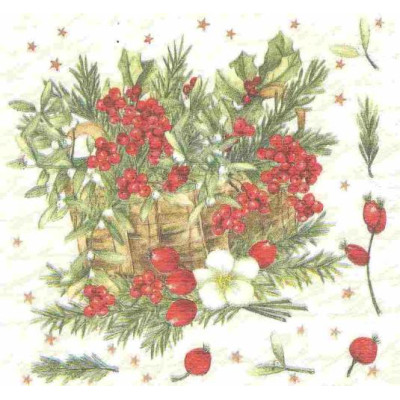 ЗИМА-34628 33*33
