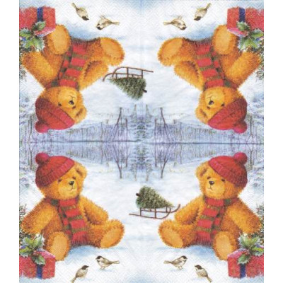 ЗИМА-34764 25*25
