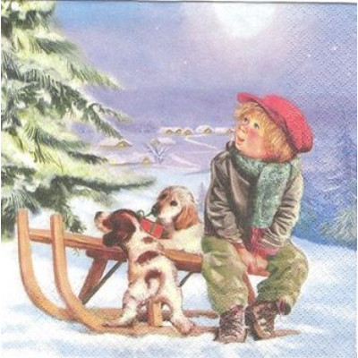 ЗИМА-21989 33*33