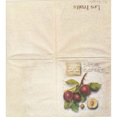ФРУКТ-35134 25*25