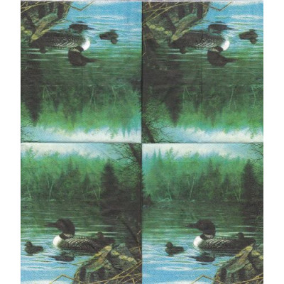 ПТИЦ-35255 25*25