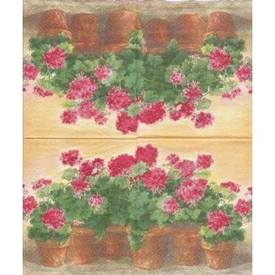 ЦВЕТразн-35305 25*25