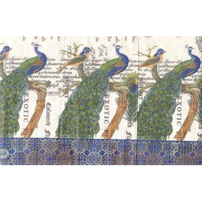 ПТИЦ-23093 33*42