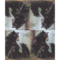 ЖИВразн-37843 25*25