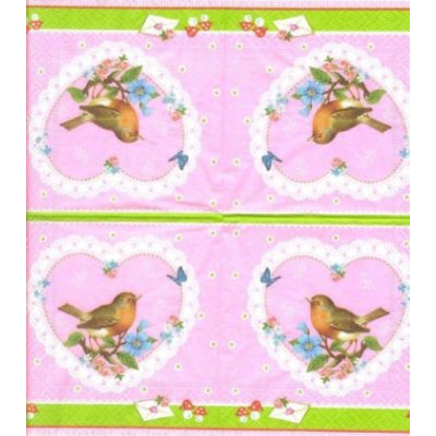 ПТИЦ-24216 25*25