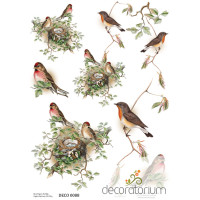 Decoratorium A4 - DECO0088