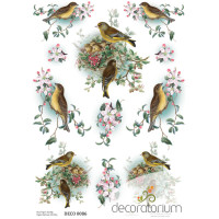 Decoratorium A4 - DECO0086