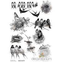Decoratorium A4 - DECO0079