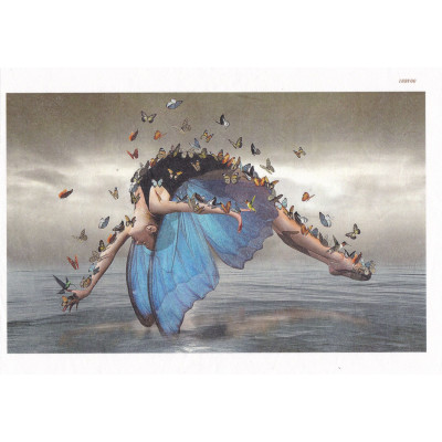 Craftskrynia  A5 004691
