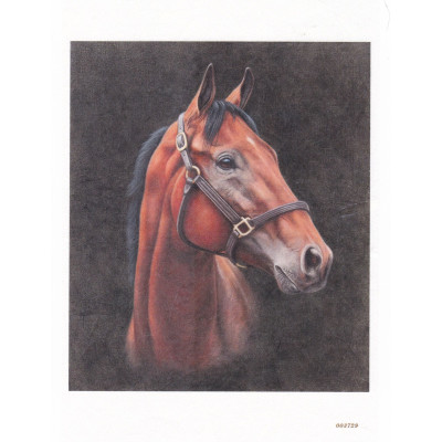Craftskrynia  A5 003729