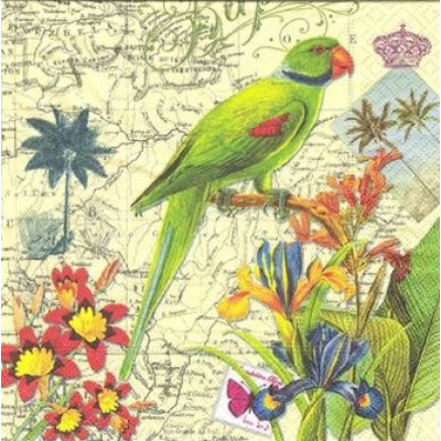 ПТИЦ-24489 33*33