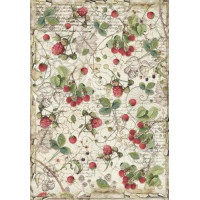 Stamperia A4 - DFSA4429