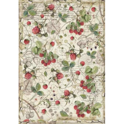 Stamperia A4 - DFSA4429