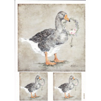 Craftskrynia  A4 003908