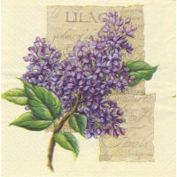 ЦВЕТвес-34882 33*33