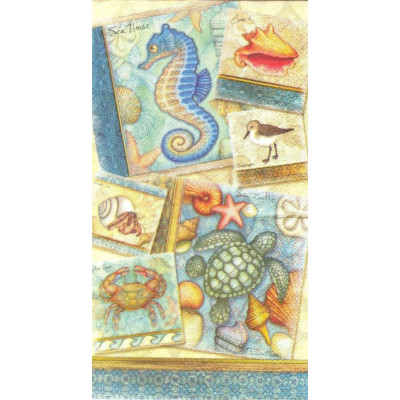 МОРЕ-23902 11*21