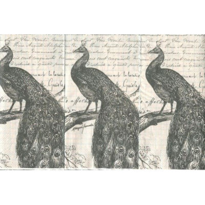 ПТИЦ-23883 33*42