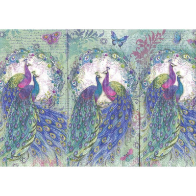 ПТИЦ-23713 33*42