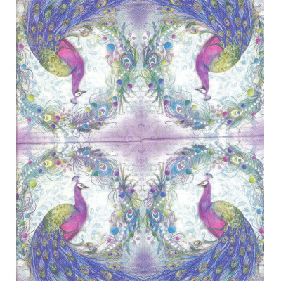 ПТИЦ-23712 25*25