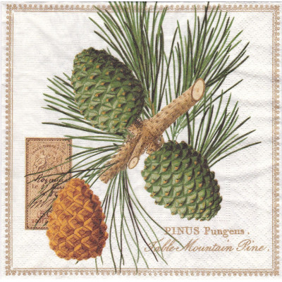 ЛИСТ-38374 33*33