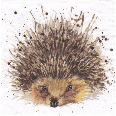 ЖИВразн-38382 33*33