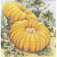 ОВОЩ-38503 33*33