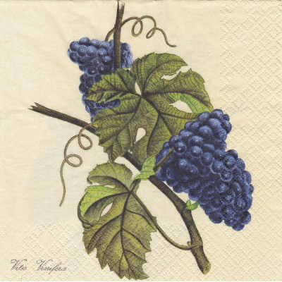 ВИНО-38507 33*33