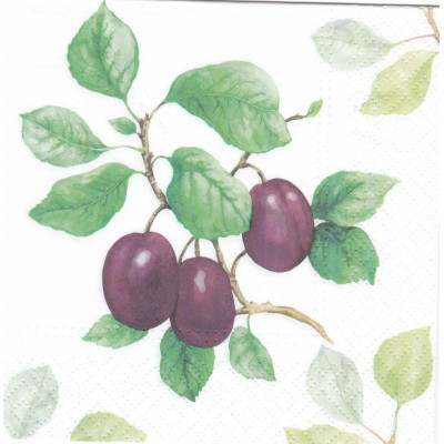 ФРУКТ-38992 33*33