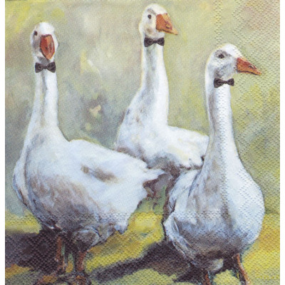 ПТИЦ-39242 33*33