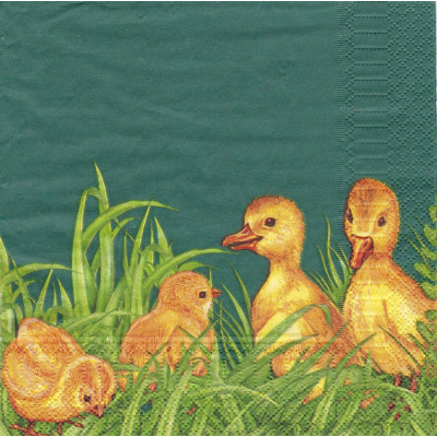 ПТИЦ-39328 33*33