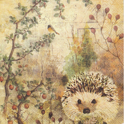 ЖИВразн-39330 33*33