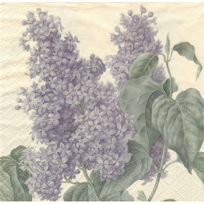 ЦВЕТвес-39364 33*33