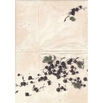 ФРУКТ-39674 33*33
