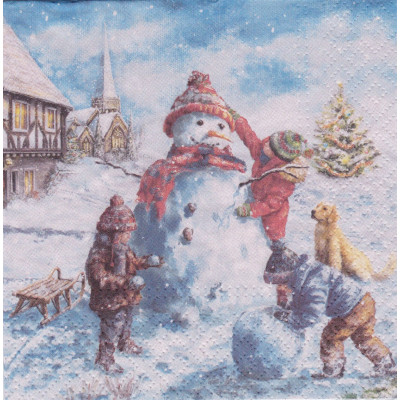 ЗИМА-39828 33*33