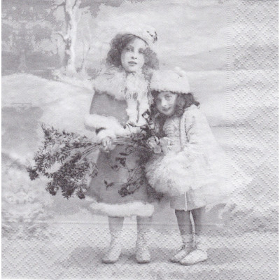 ЗИМА-39958 33*33