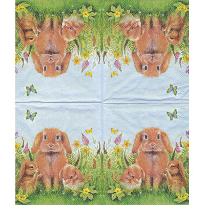 ПАСХА-39979 25*25