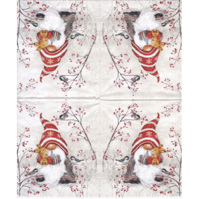 ЗИМА-40580 25*25