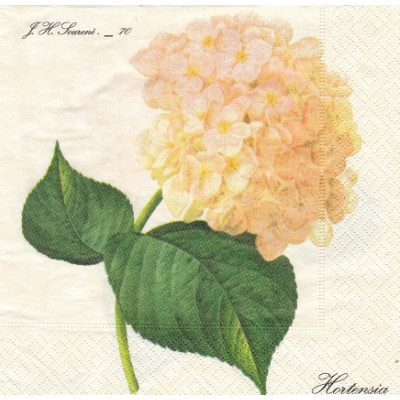 ЦВЕТразн-40701 33*33