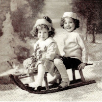 ЗИМА-26433 33*33