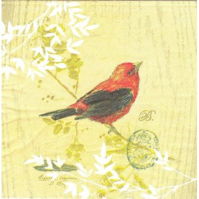 ПТИЦ-26563 40*40