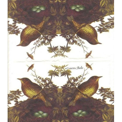 ПТИЦ-27753 25*25