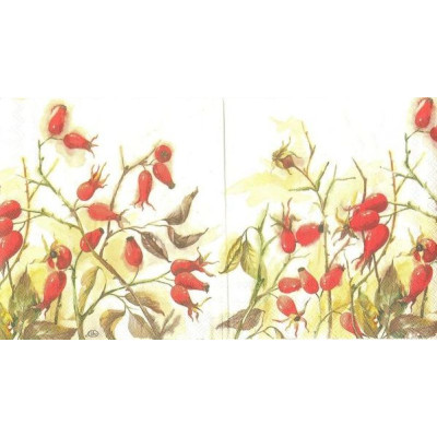 ЛИСТ-27764 33*33