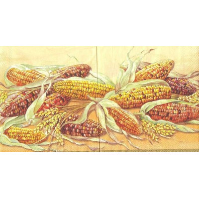 ОВОЩ-22471 33*33